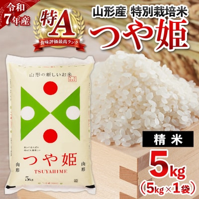 令和7年産 山形産 特別栽培米 つや姫 5kg 精米 FY25-489