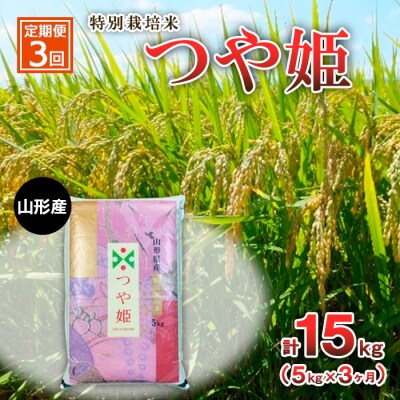 【定期便3回】特別栽培米 つや姫 5kg×3ヶ月(計15kg) FZ23-748