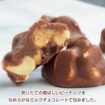 【でん六】ピーナッツチョコ 40g FY25-501