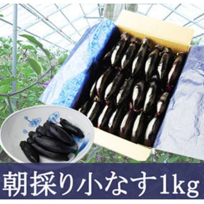 やまがたの朝採り漬物用小なす1kg 漬物の素付き FZ20-172