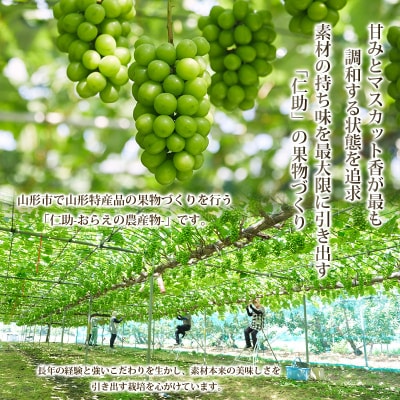 山形市産 シャインマスカット 特秀 1房 800g以上 FZ21-909