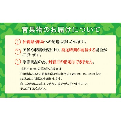 山形産 和梨(幸水) 秀 3kg(6～12玉) 【令和8年産】FU22-012