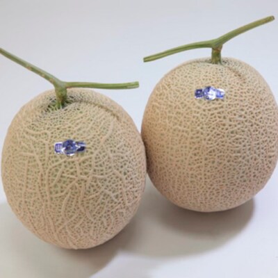 山形産 アールスメロン 秀 2玉(3kg) 【令和8年産】FS24-540