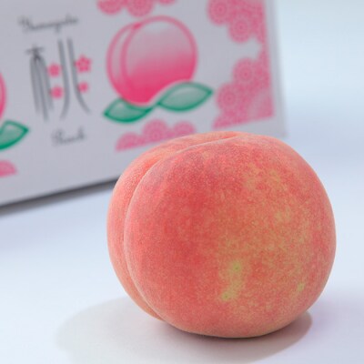山形の桃(硬い品種)3kg(6～12玉) 【令和8年産】FU21-629