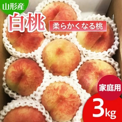  【家庭用】山形の桃(白桃) 3kg(6～12玉) 9月発送 [柔らかくなる桃] FU22-782