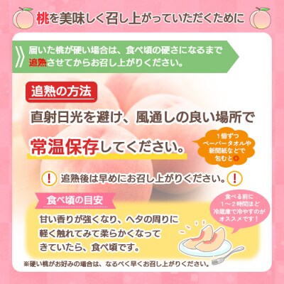  【家庭用】山形の桃(白桃) 3kg(6～12玉) 9月発送 [柔らかくなる桃] FU22-782