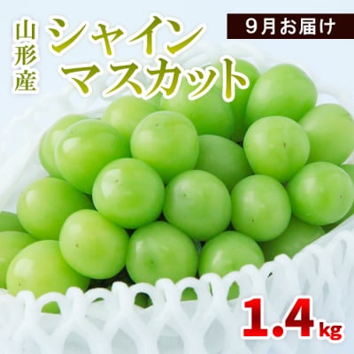 山形産 シャインマスカット 1.4kg(2～4房) 9月お届け 【令和8年産】FS23-855