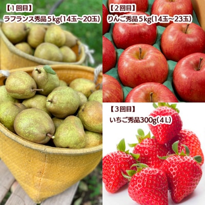 【定期便5回】山形の果実冬から春へ【さくらコース】 FZ20-560