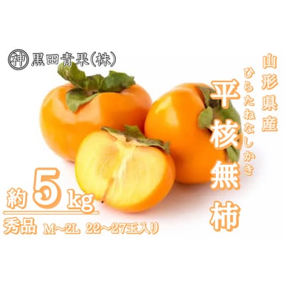 山形産 平核無柿(ひらたねなしかき) 秀品 M~2L 約5kg(22～27玉) FZ23-417