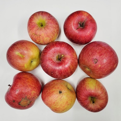 【ご自宅用】サンふじりんごとラ・フランスの詰め合わせ 約5kg FZ23-989