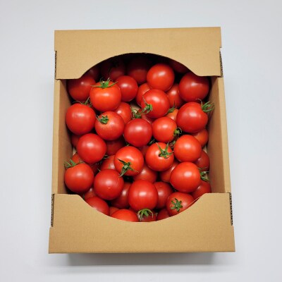 トマト=フルーツ?!山形のフルティカトマト 約2kg FY24-079