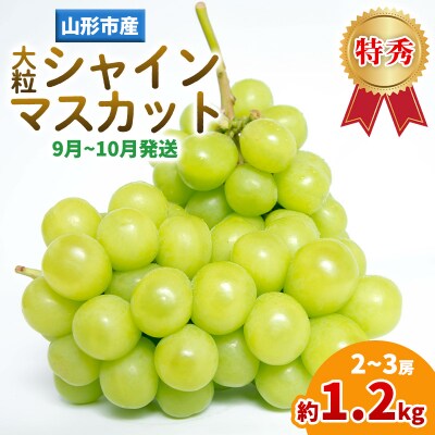 山形産 大粒シャインマスカット 約1.2kg(2～3房)(9～10月発送分) FY25-282