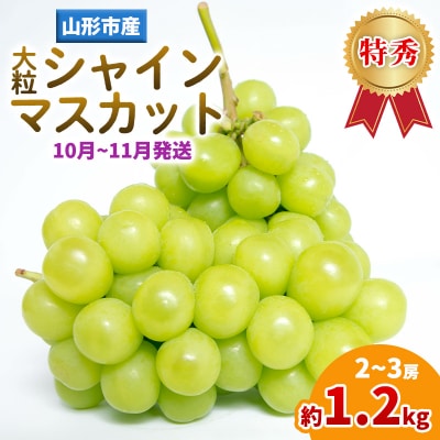 山形産 大粒シャインマスカット 約1.2kg(2～3房)(10～11月発送分) FY25-283