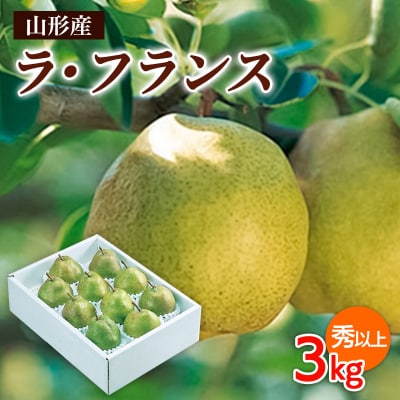 山形市産 ラ・フランス 秀以上 3kg(6～10玉) FZ26-827
