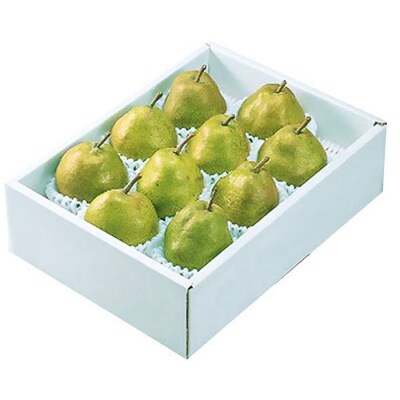 山形市産 ラ・フランス 秀以上 3kg(6～10玉) FZ26-827