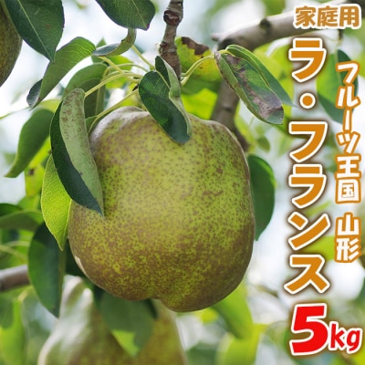 ☆フルーツ王国山形☆【家庭用】ラ・フランス 5kg FZ26-805