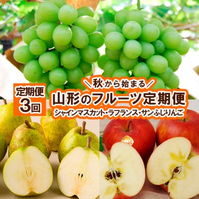 【秋から始まる定期便3回】山形のフルーツ定期便 FZ26-760