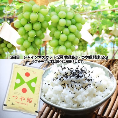 ★定期便3回★山形の人気フルーツとお米の定期便 FU23-308