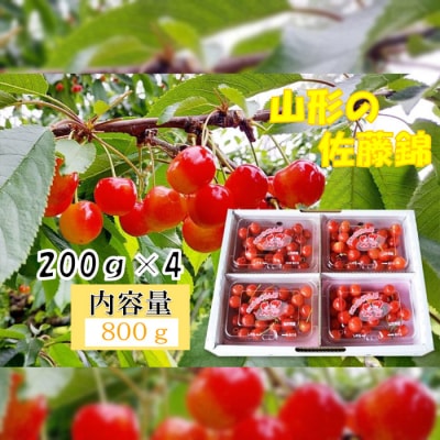 山形産 さくらんぼ 佐藤錦 L～2Lサイズ 800g(200g×4パック)  FZ26-761