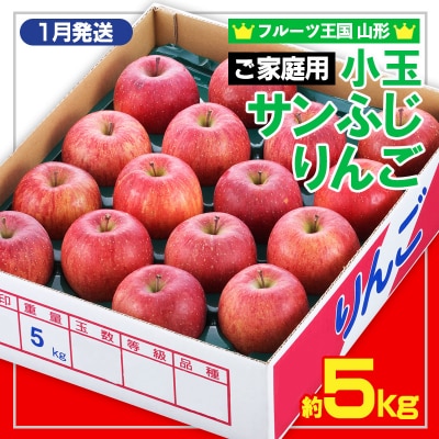 【R9年1月発送】★フルーツ王国★ 小玉サンふじりんご(無袋・家庭用)約5kg FZ26-812