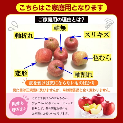 【R9年1月発送】★フルーツ王国★ 小玉サンふじりんご(無袋・家庭用)約5kg FZ26-812