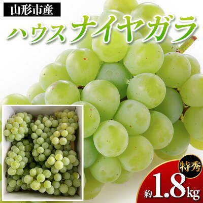 山形市産 ハウスナイヤガラ 特秀 約1.8kg Lサイズ(6～8房) FY26-009