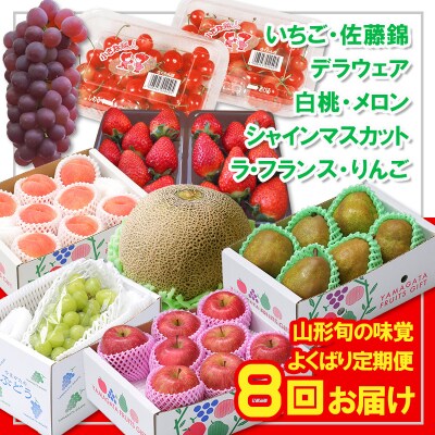 【定期便8回】☆フルーツ王国山形☆山形旬の味覚フルーツよくばり定期便 FY26-057