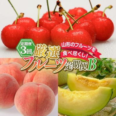 【定期便3回】山形のフルーツを食べ尽くし!厳選フルーツ定期便B FY26-064