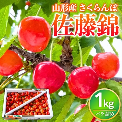 山形県産 さくらんぼ 佐藤錦 1kg バラ詰め FY26-073