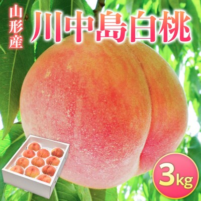 山形県産 川中島白桃 3kg FY26-074