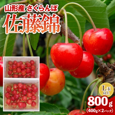 さくらんぼ(佐藤錦) 800g L以上 FY26-076