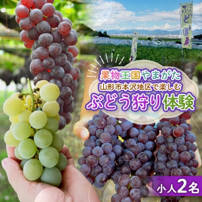 時間無制限!ぶどう狩り体験 (小学生以下2名利用) FY26-093