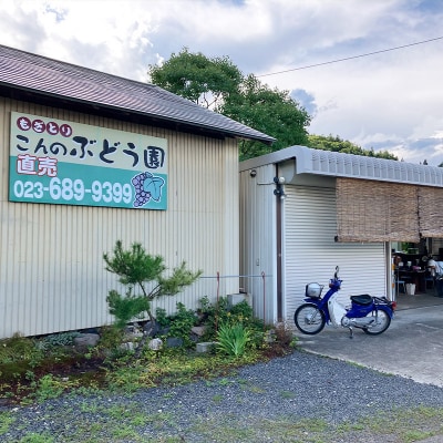 時間無制限!ぶどう狩り体験 (小学生以下2名利用) FY26-093
