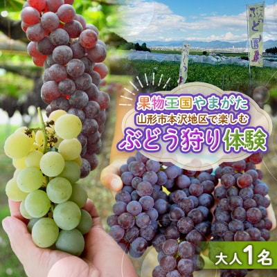 時間無制限!ぶどう狩り体験 (大人1名利用) FY26-094