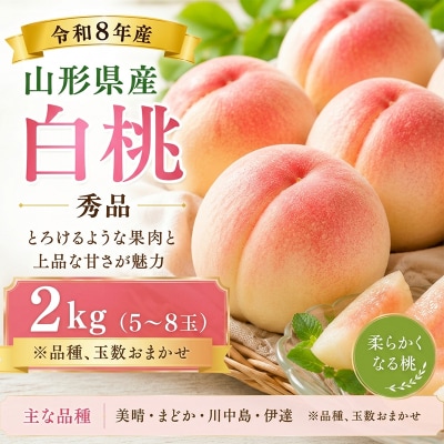 山形産 白桃 秀品 2kg(5～8玉)柔らかくなる桃 FY26-169