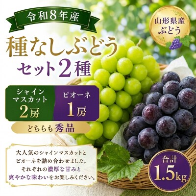 山形産 種なしぶどうセット2種 秀品 合計1.5kg FY26-173