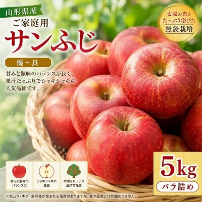【ご家庭用】 山形産 サンふじりんご 5kg バラ 優～良 無袋栽培 FY26-176