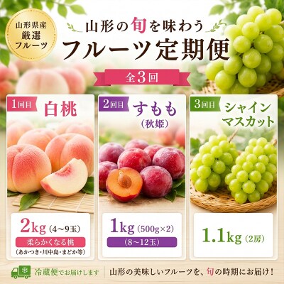 【定期便3回】山形の旬を味わう フルーツ定期便 FY26-178