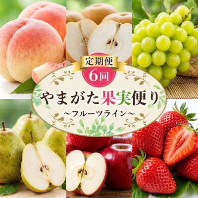 【定期便6回】やまがた果実便り=フルーツライン=  FY26-182