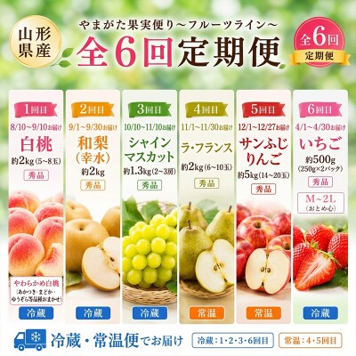 【定期便6回】やまがた果実便り=フルーツライン=  FY26-182