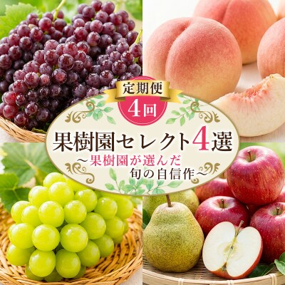 【定期便4回】果樹園セレクト4選 果樹園が選んだ、旬の自信作 FY26-183