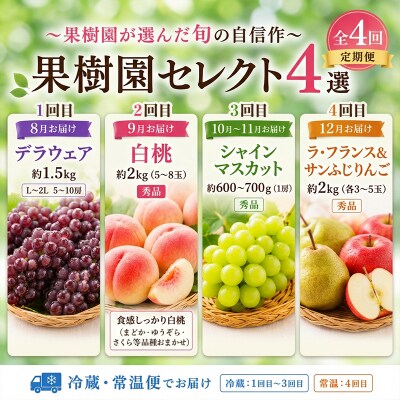 【定期便4回】果樹園セレクト4選 果樹園が選んだ、旬の自信作 FY26-183