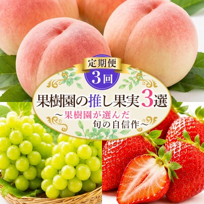 【定期便3回】果樹園の推し果実3選 果樹園が選んだ、旬の自信作 FY26-184