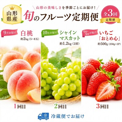 【定期便3回】果樹園の推し果実3選 果樹園が選んだ、旬の自信作 FY26-184