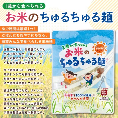 【米粉麺】お米のちゅるちゅる麺 100g×3袋 FY26-111