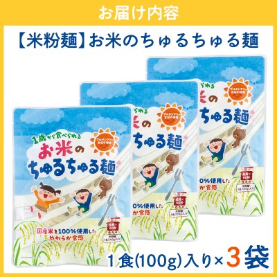 【米粉麺】お米のちゅるちゅる麺 100g×3袋 FY26-111