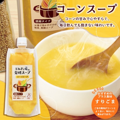 玉ねぎと糀の発酵スープ 濃縮タイプ 160g×4 FY26-116