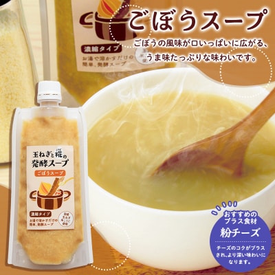 玉ねぎと糀の発酵スープ 濃縮タイプ 160g×4 FY26-116