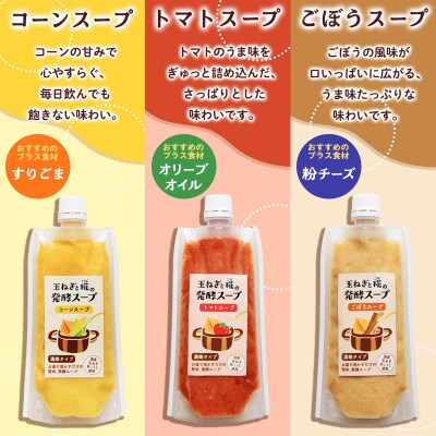 【山形県産米100%使用】発酵食品セット FY26-117