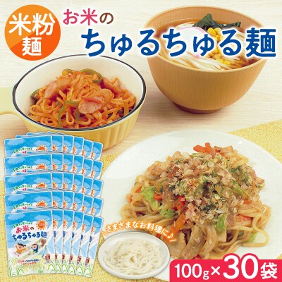 【米粉麺】お米のちゅるちゅる麺 100g×30袋 FY26-115